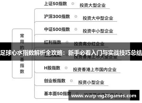 足球心水指数解析全攻略:新手必看入门与实战技巧总结 足球心水指数解析全攻略:新手必看入门与实战技巧总结