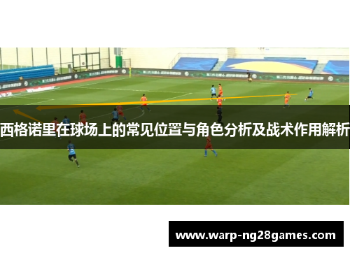 西格诺里在球场上的常见位置与角色分析及战术作用解析 西格诺里在球场上的常见位置与角色分析及战术作用解析