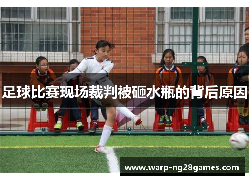 足球比赛现场裁判被砸水瓶的背后原因